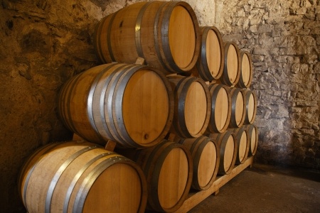 Les bases de la vinification des vins blancs, rouges et rosés