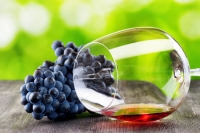 Les vins bio, en biodynamie et naturels